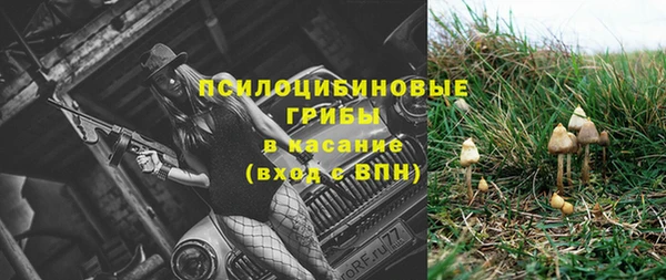 синтетический гашиш Алексеевка