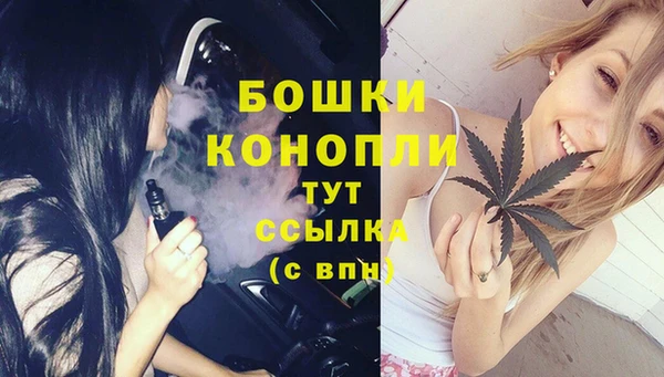 бошки Алексин