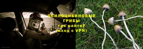 синтетический гашиш Алексеевка