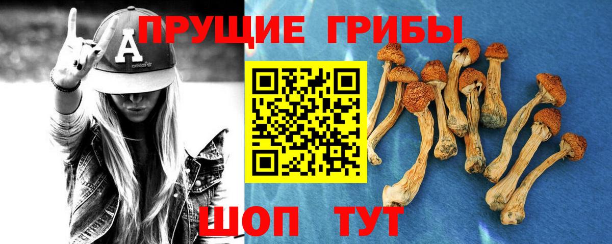 Псилоцибиновые грибы мухоморы  Галлюциногенные грибы мицелий  Вход с VPN  Ачинск 