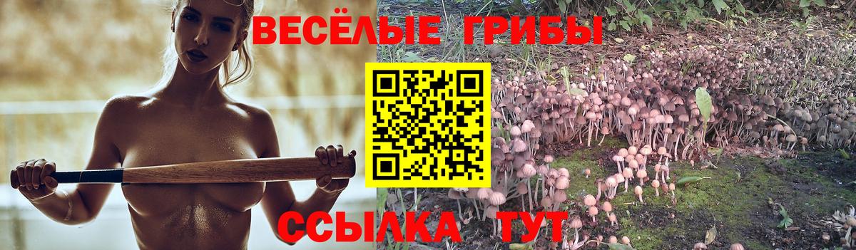 Галлюциногенные грибы ЛСД Ачинск